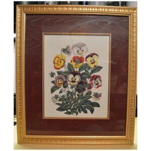 Pansies Print Botanical Style Framed & Matted New Century ~10-1/2 x 13-1/2 Img
